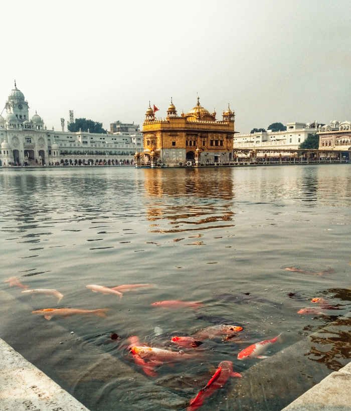 Vaishnov Devi and Amritsar